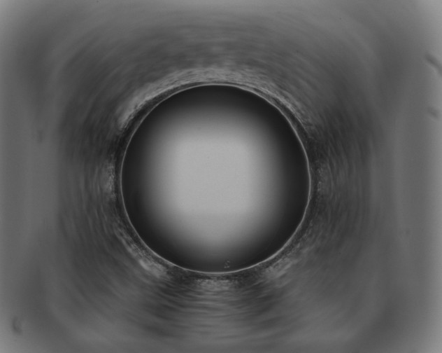X0000091881499200709051314