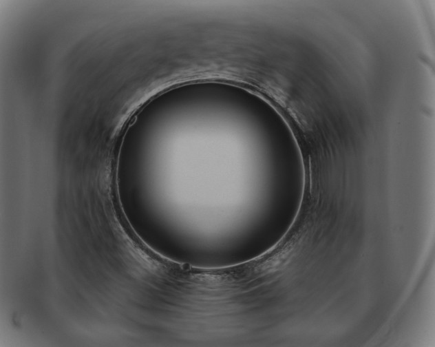 X0000091881500200709051314
