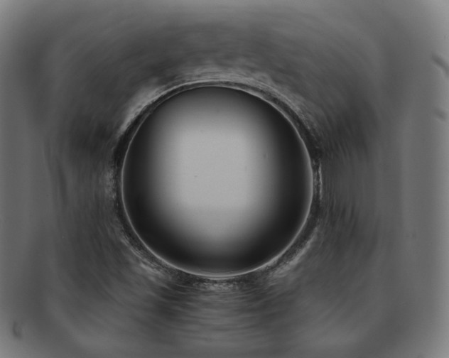 X0000091881501200709051314