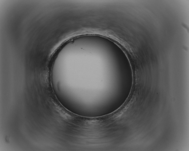 X0000091881502200709051314
