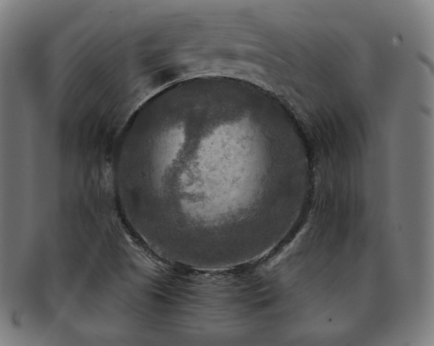 X0000091881505200709051314