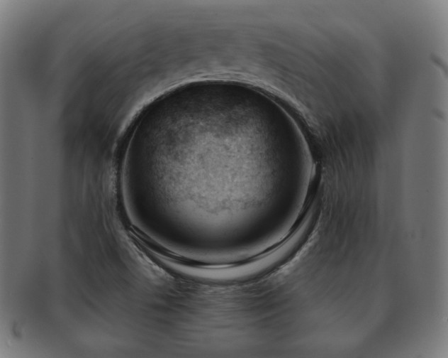 X0000091881506200709051314