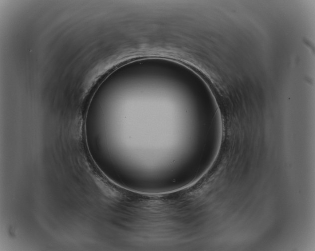 X0000091881507200709051314