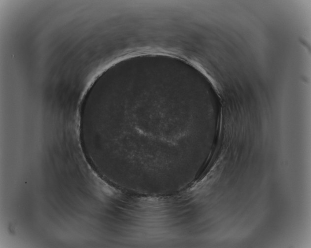 X0000091881508200709051314