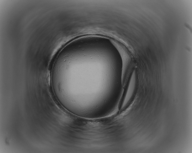 X0000091881509200709051314
