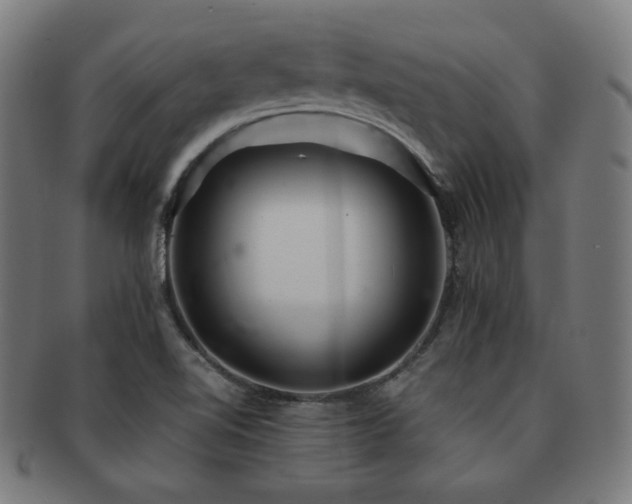 X0000091881510200709051314