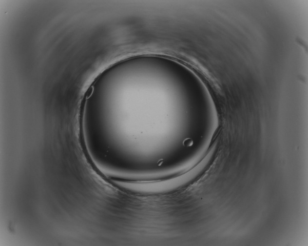 X0000091881512200709051314