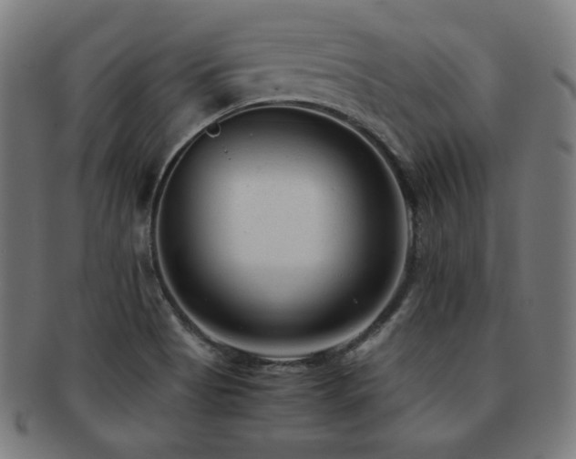 X0000091881513200709051314