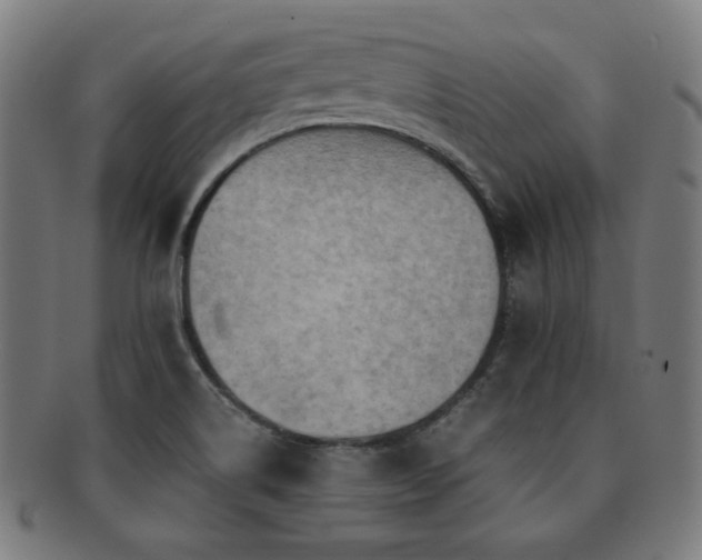 X0000091881514200709051314