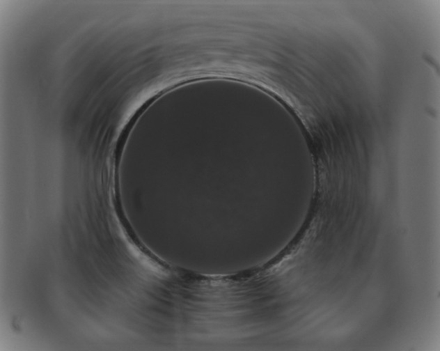 X0000091881515200709051314