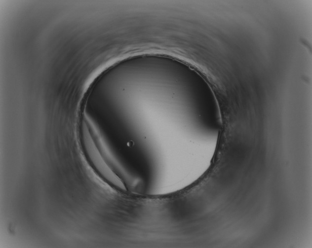 X0000091881518200709051314