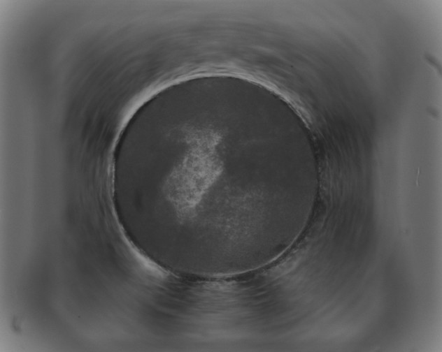 X0000091881519200709051314