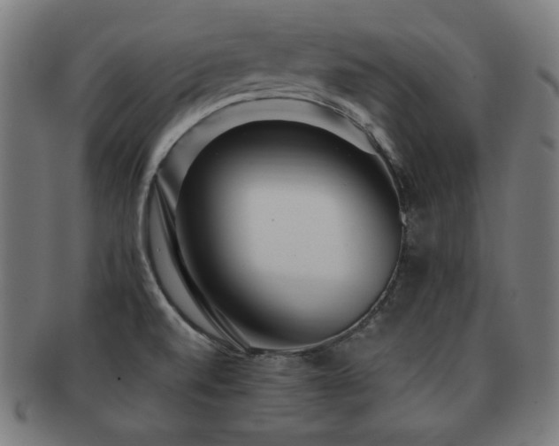 X0000091881520200709051314