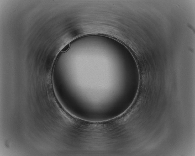 X0000091881521200709051314
