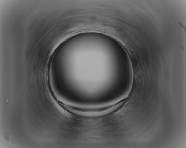 X0000091881523200709051314