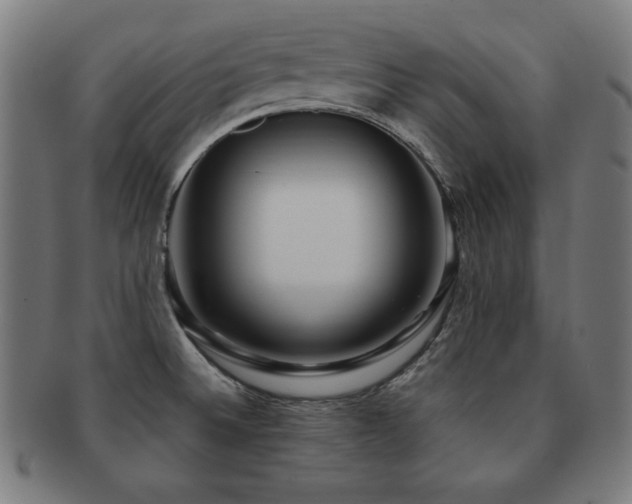 X0000091881524200709051314