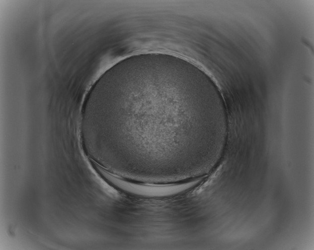 X0000091881525200709051314