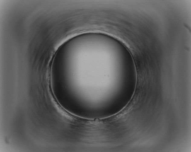 X0000091881526200709051314