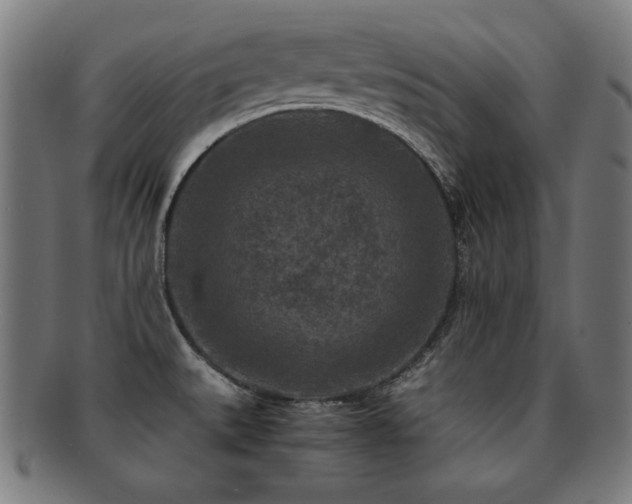 X0000091881527200709051314