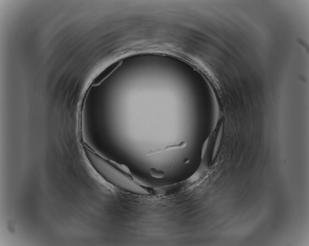X0000091881528200709051314