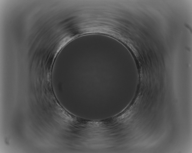 X0000091881529200709051314