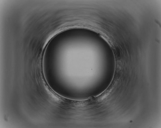 X0000091881530200709051314