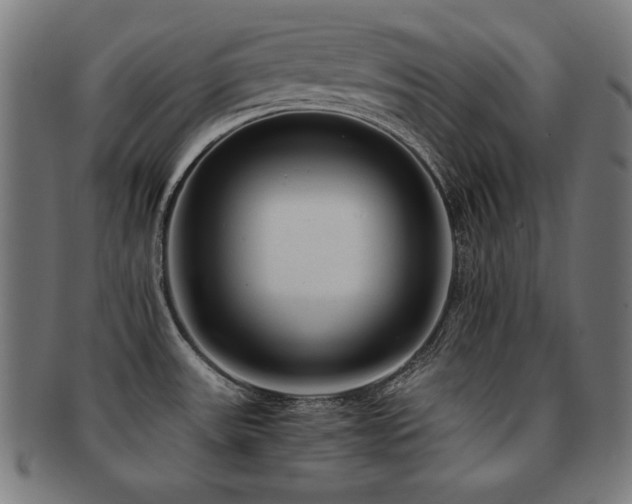 X0000091881531200709051314
