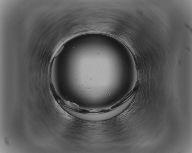 X0000091881532200709051314