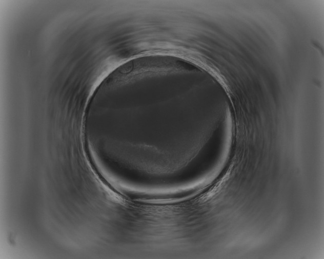 X0000091881533200709051314