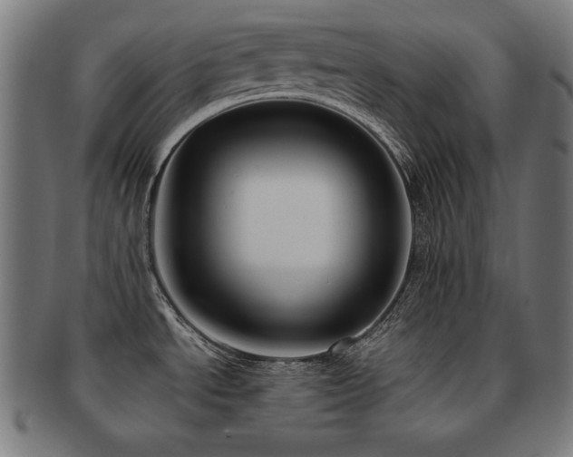 X0000091881534200709051314
