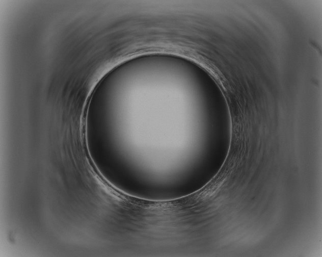 X0000091881535200709051314