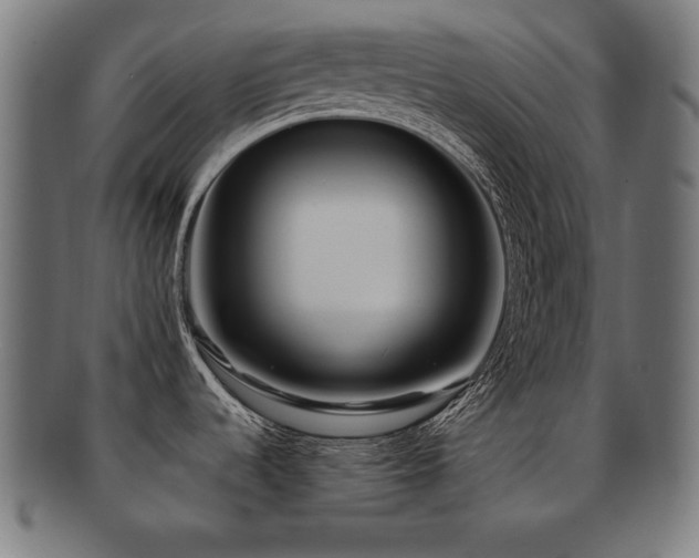 X0000091881536200709051314