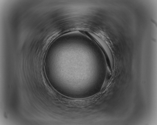 X0000091880001200709121422