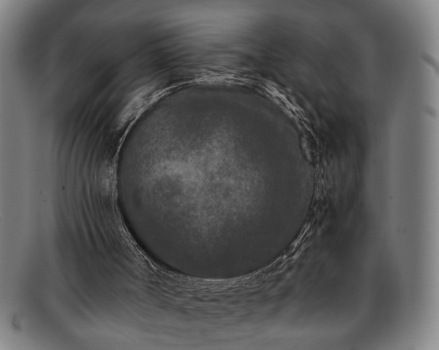 X0000091880002200709121422