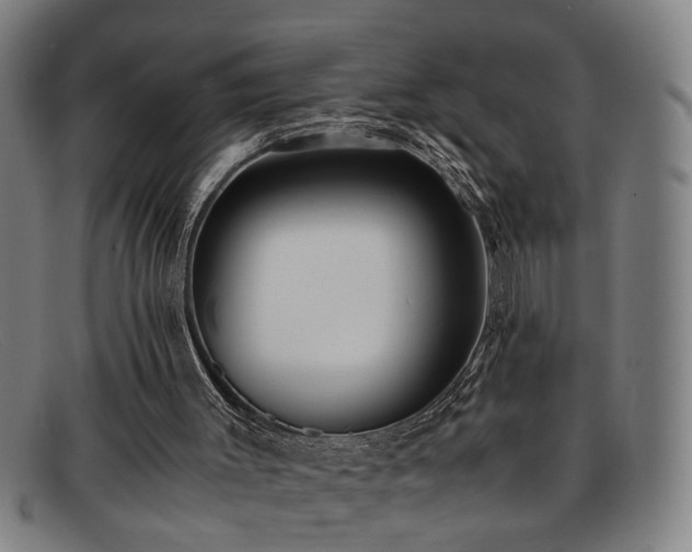 X0000091880003200709121422