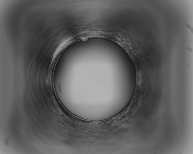 X0000091880004200709121422