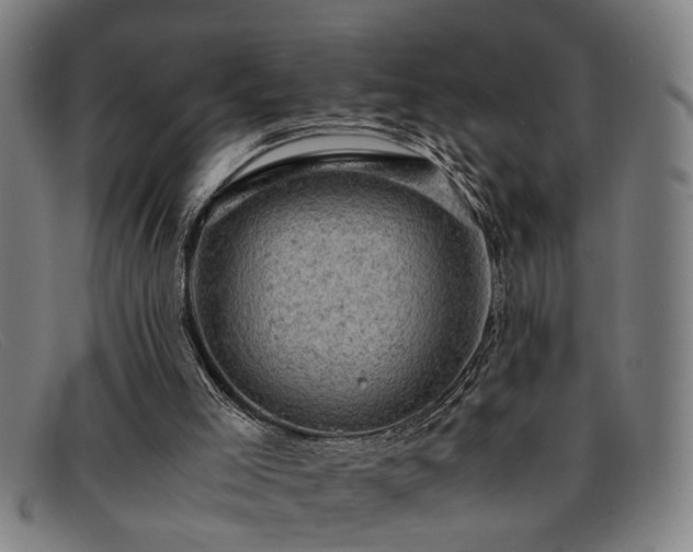 X0000091880005200709121422