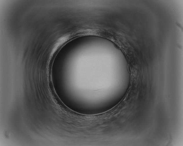 X0000091880006200709121422