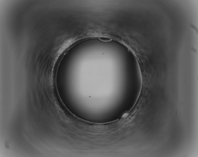 X0000091880008200709121422