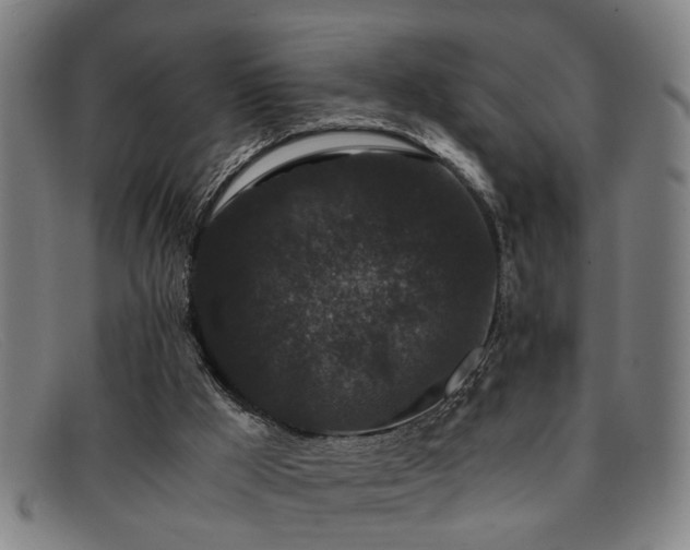 X0000091880009200709121422