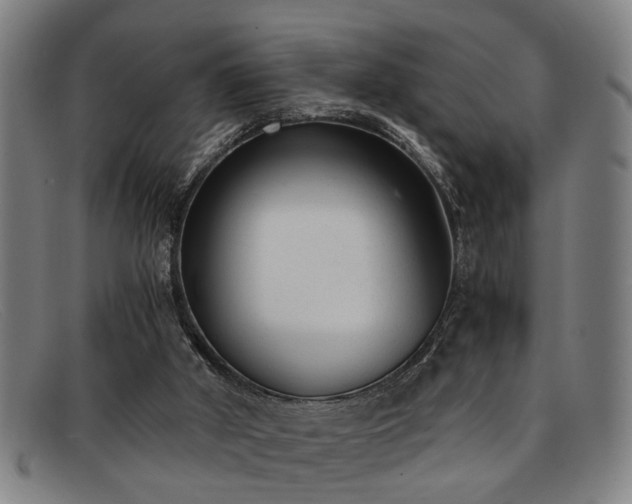 X0000091880010200709121422