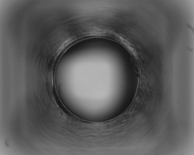 X0000091880011200709121422