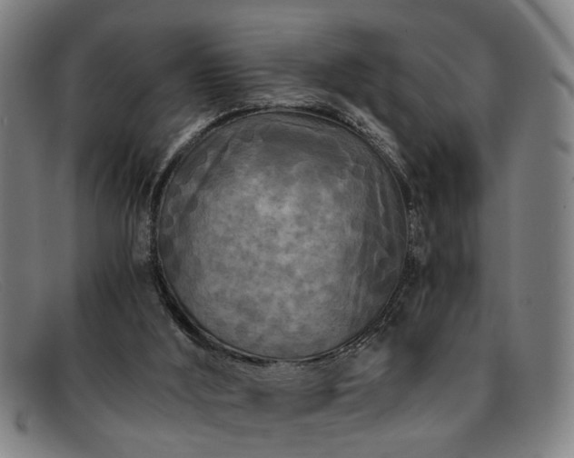 X0000091880012200709121422