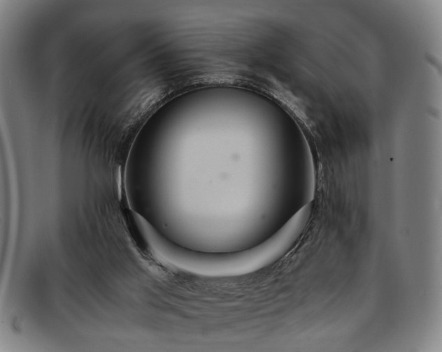 X0000091880013200709121422