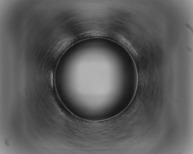 X0000091880014200709121422