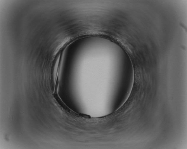 X0000091880015200709121422