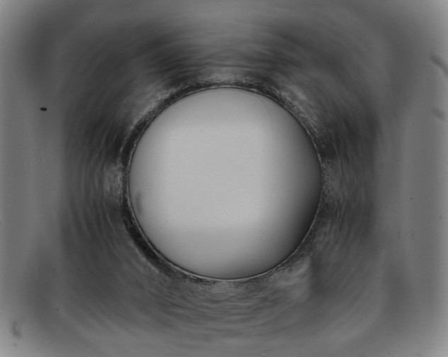 X0000091880016200709121422