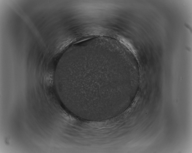 X0000091880017200709121422