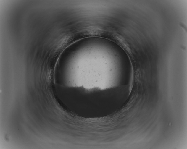 X0000091880018200709121422