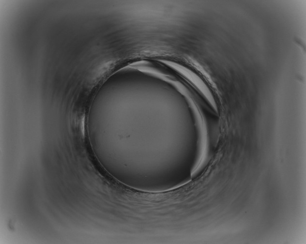 X0000091880019200709121422